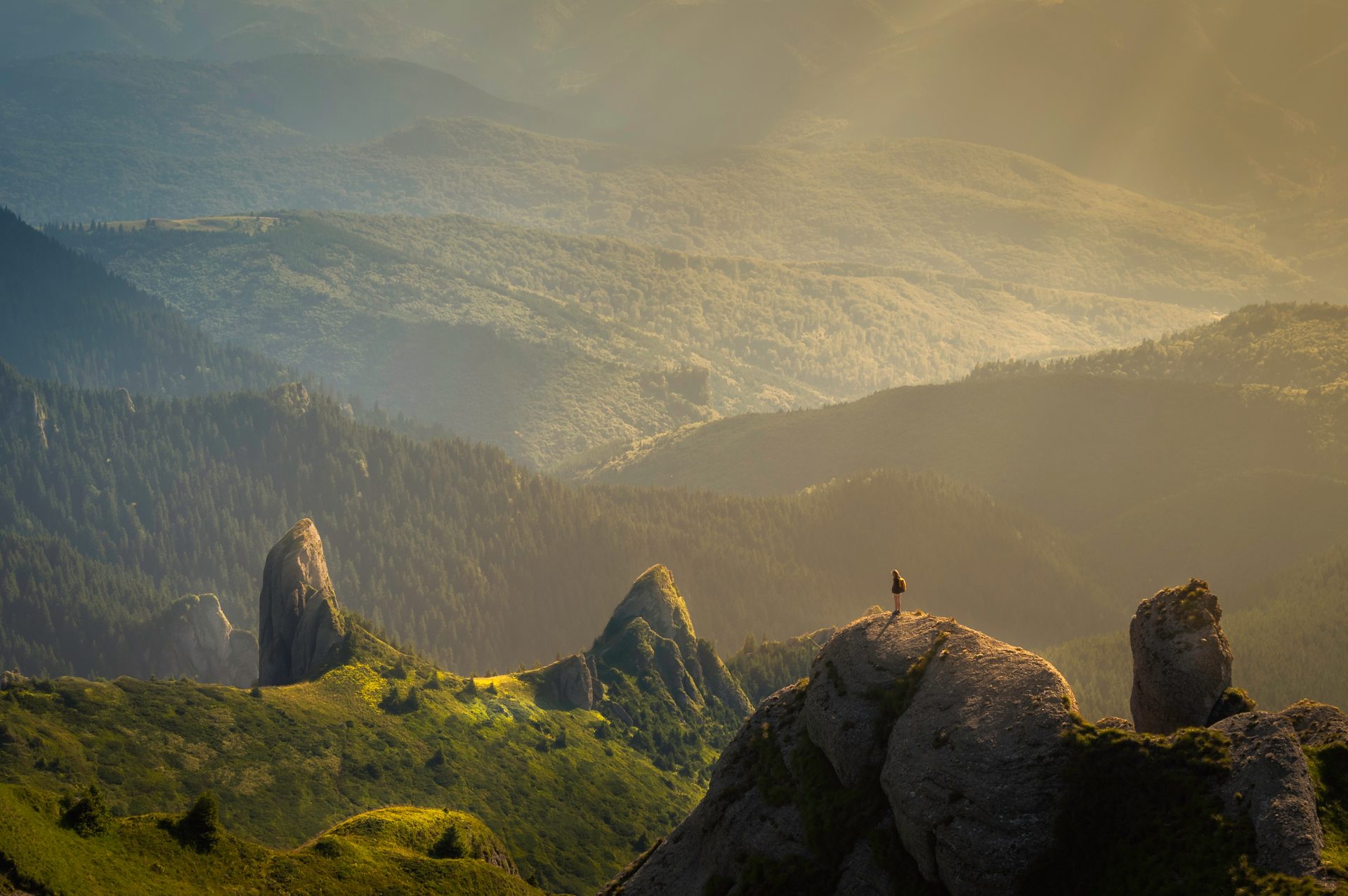 grassy mountains from a top view